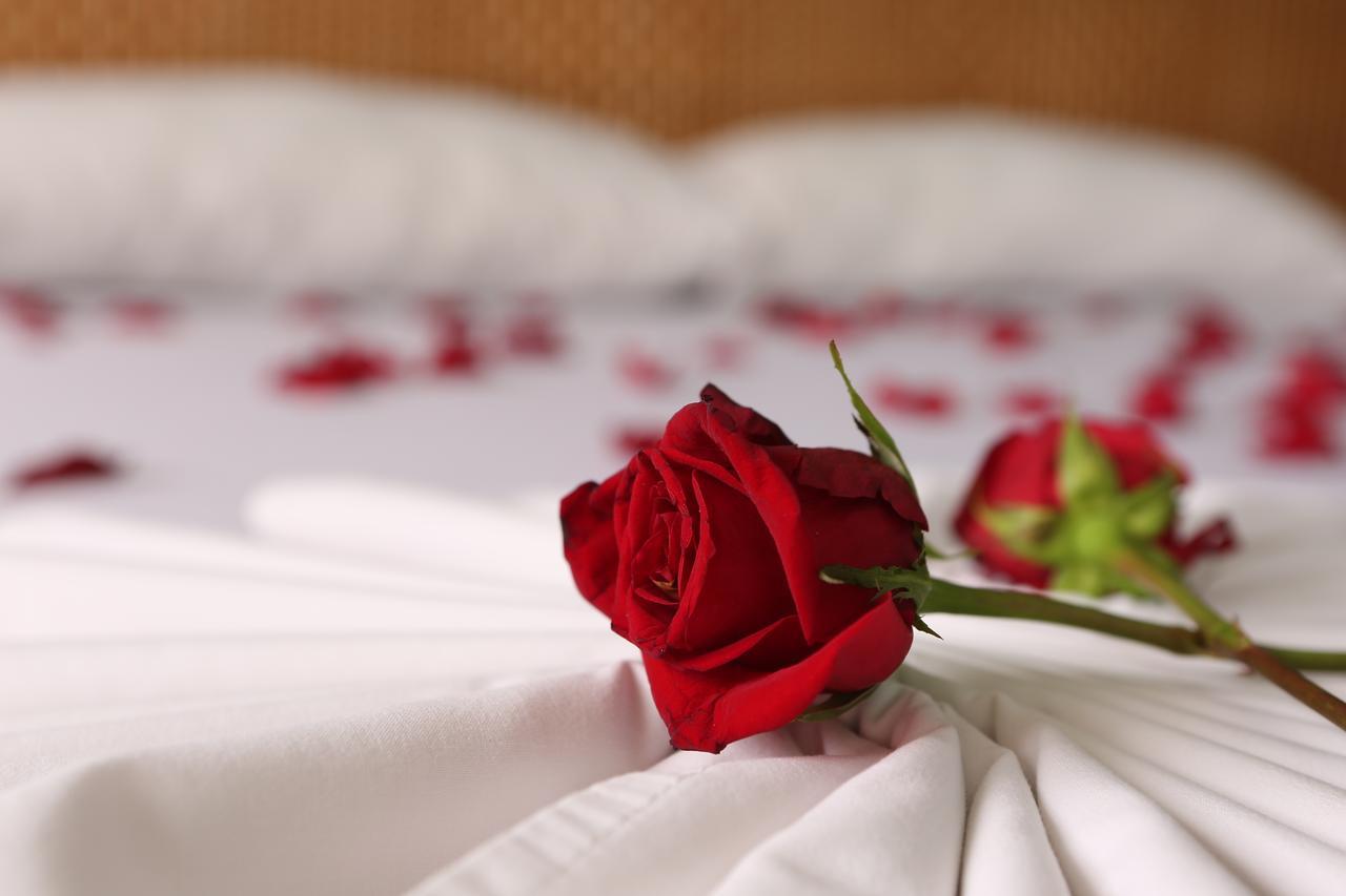 Hotel Anamichu Suites Melgar Eksteriør billede